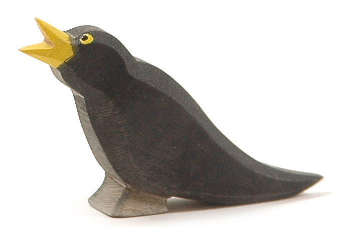 Ostheimer - Amsel
