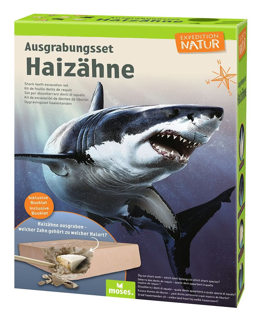 Moses - Expedition Natur - Ausgrabungsset Haizähne