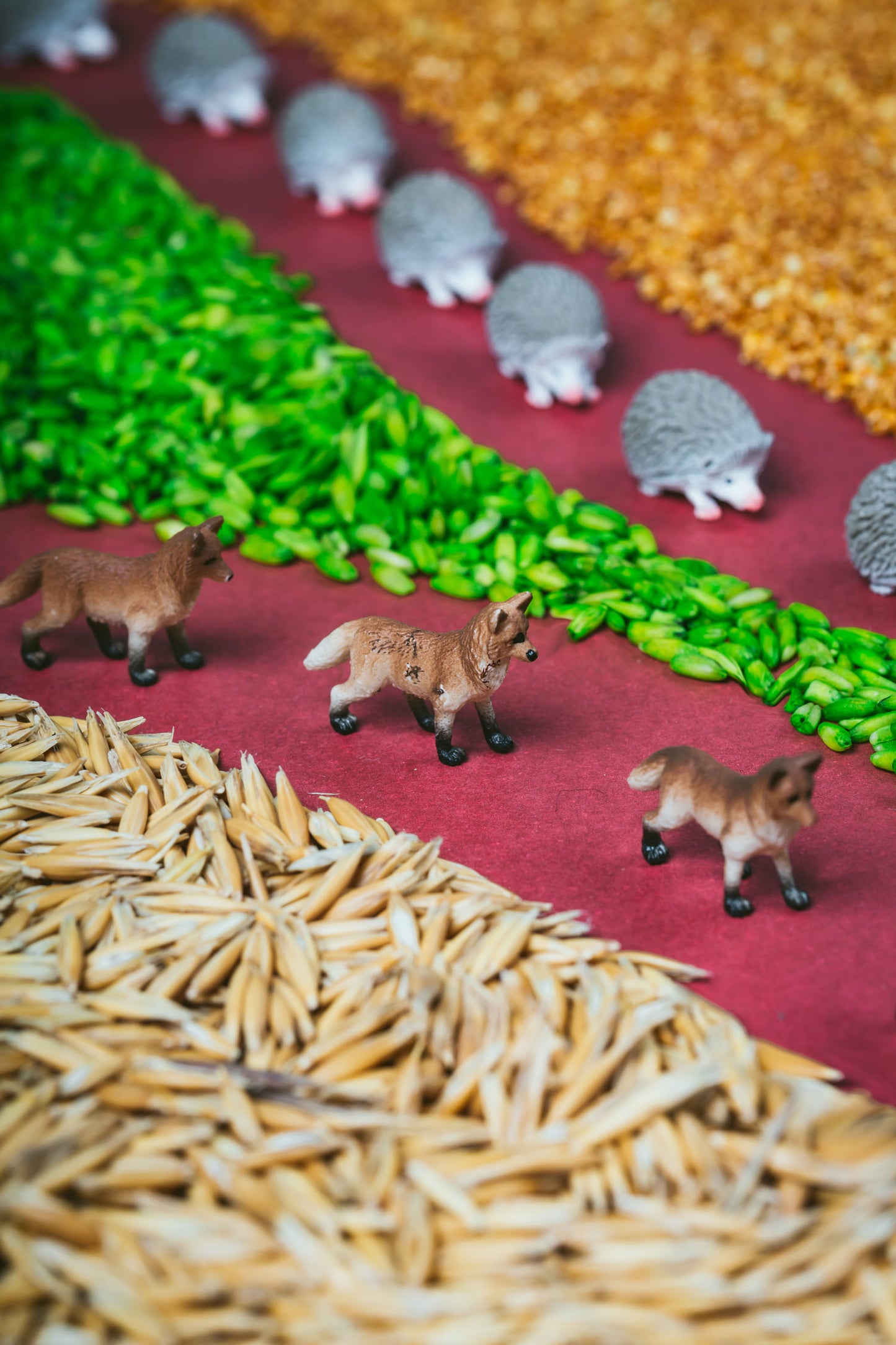 Petit Boum - Sensorikspielzeug Spy Bottle - Forest