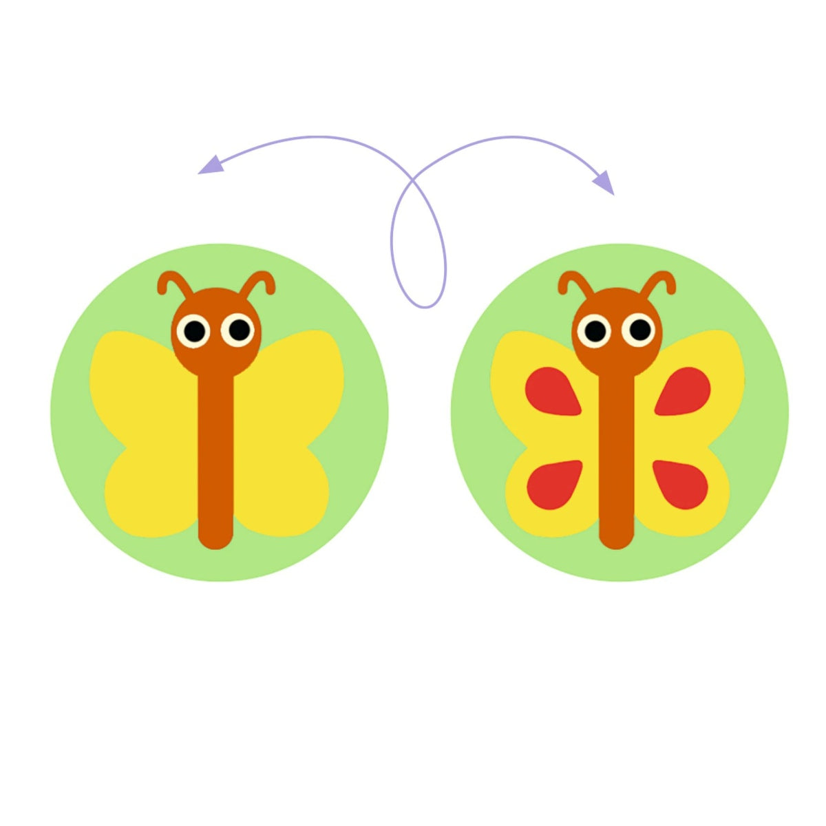 Djeco - Lernspiele: Gardimix Bild 5