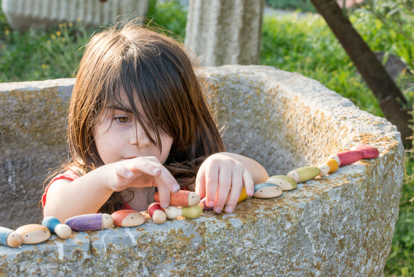 Grapat - Insectes Bild 1