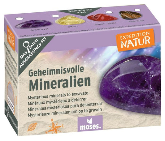 Moses - Expedition Natur Mini-Ausgrabungssets Stück