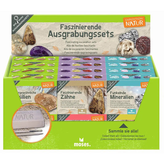 Ausgrabungsset Moses Expedition Natur mit Werkzeug zum Freilegen von Fossilien
