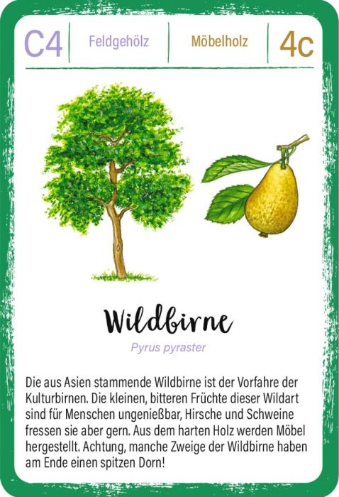 Moses - Expedition Natur Quartett Bäume