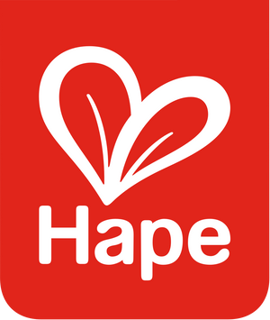 Logo von Hape – Fahrradzubehör für Kinder