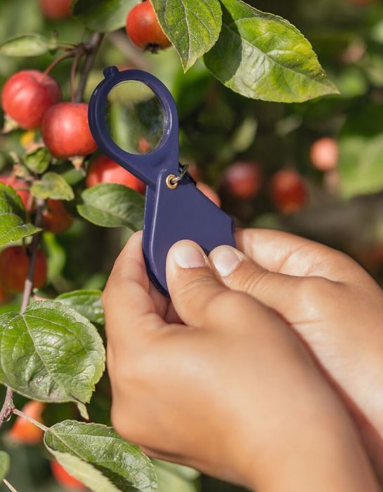 Moses Expedition Natur Mini Lupe mit Karabiner, klappbar, 10-fache Vergrößerung