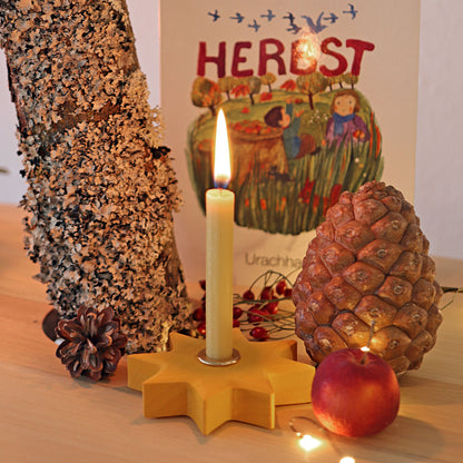 Grimm`s - Gelber Stern Bild 2