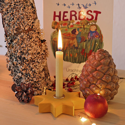 Grimm`s - Gelber Stern Bild 2