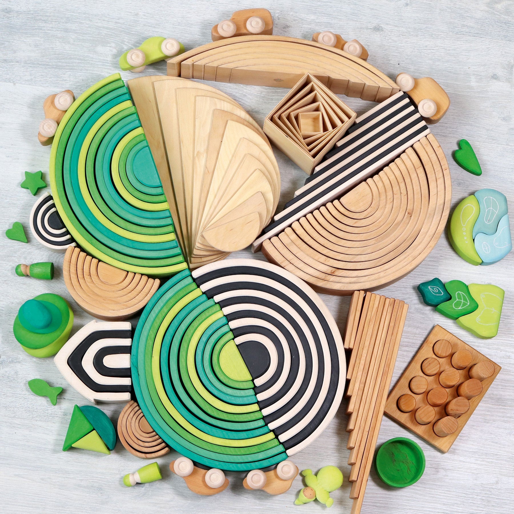 GRIMM´S Großer Regenbogen Wiesengrün Bild 13