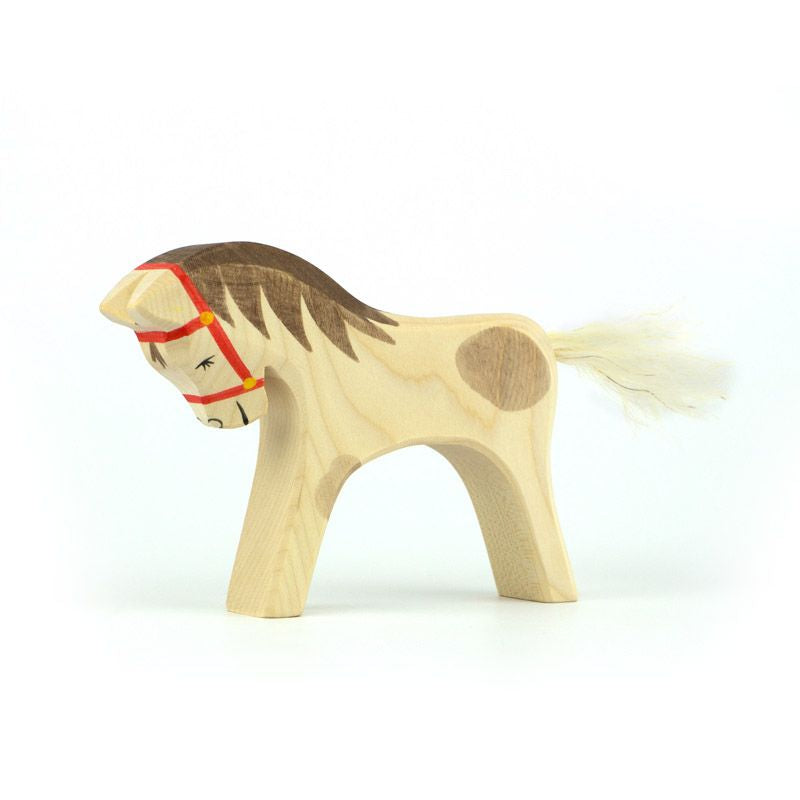 Ostheimer - Reitpferd - 10802-reitpferd