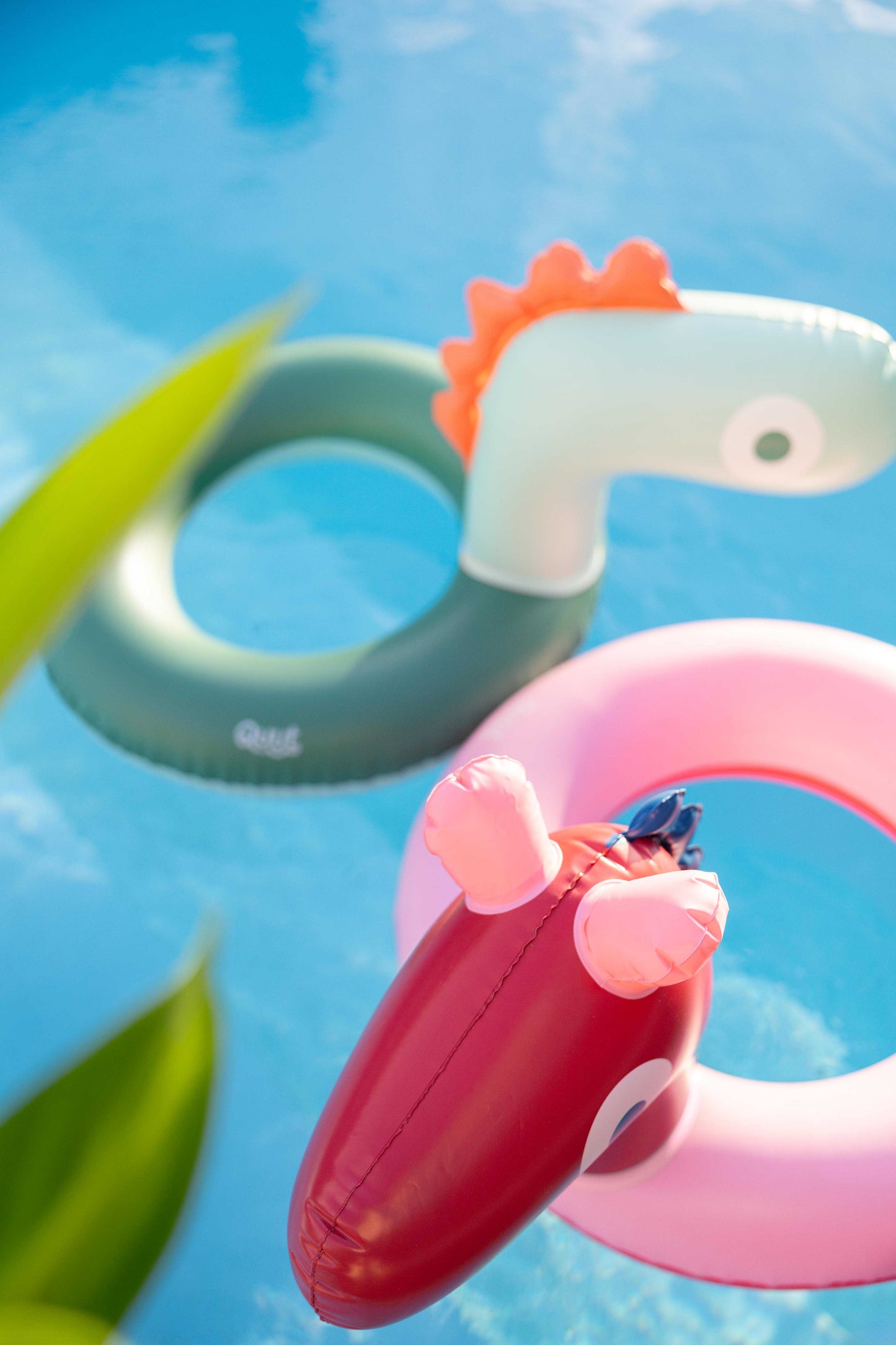 Quut - Swim Ring Dino - 173915 Swim ring Dino 5