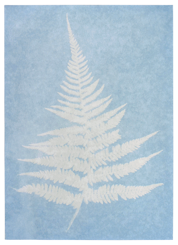 Moses - PhänoMINT Sonnendruck-Papier Bild 2