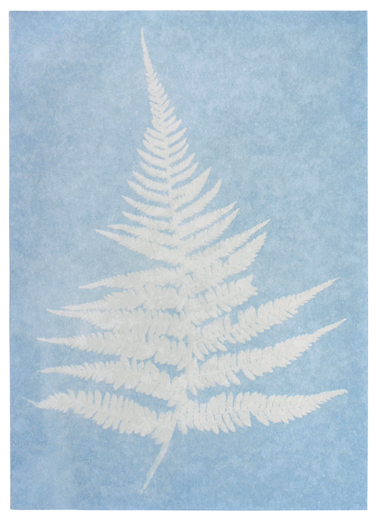 Moses - PhänoMINT Sonnendruck-Papier Bild 2