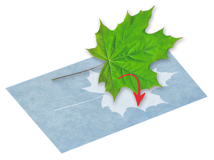 Moses - PhänoMINT Sonnendruck-Papier Bild 4