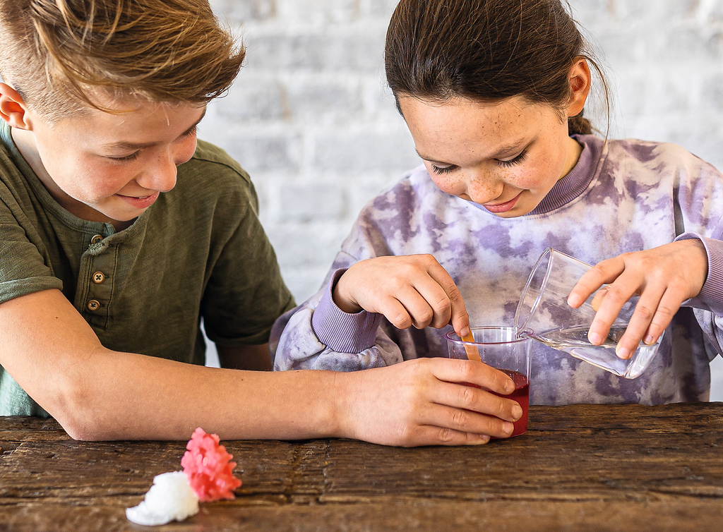 Moses - PhänoMINT Kristalle züchten Bild 3