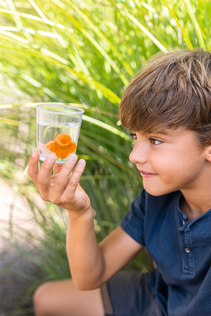 Moses - PhänoMINT Flummi selber machen Bild 5