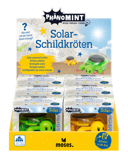 Moses - PhänoMINT Solar-Schildkröte Bild 1