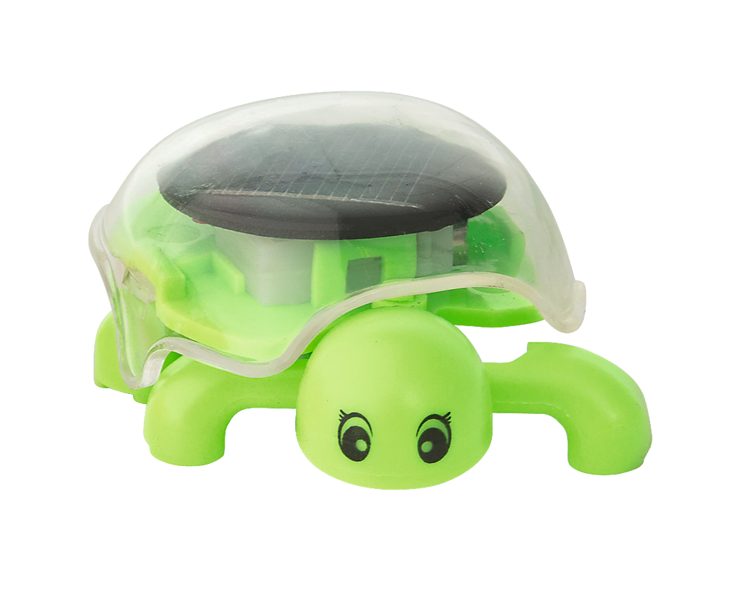 Moses - PhänoMINT Solar-Schildkröte Bild 7