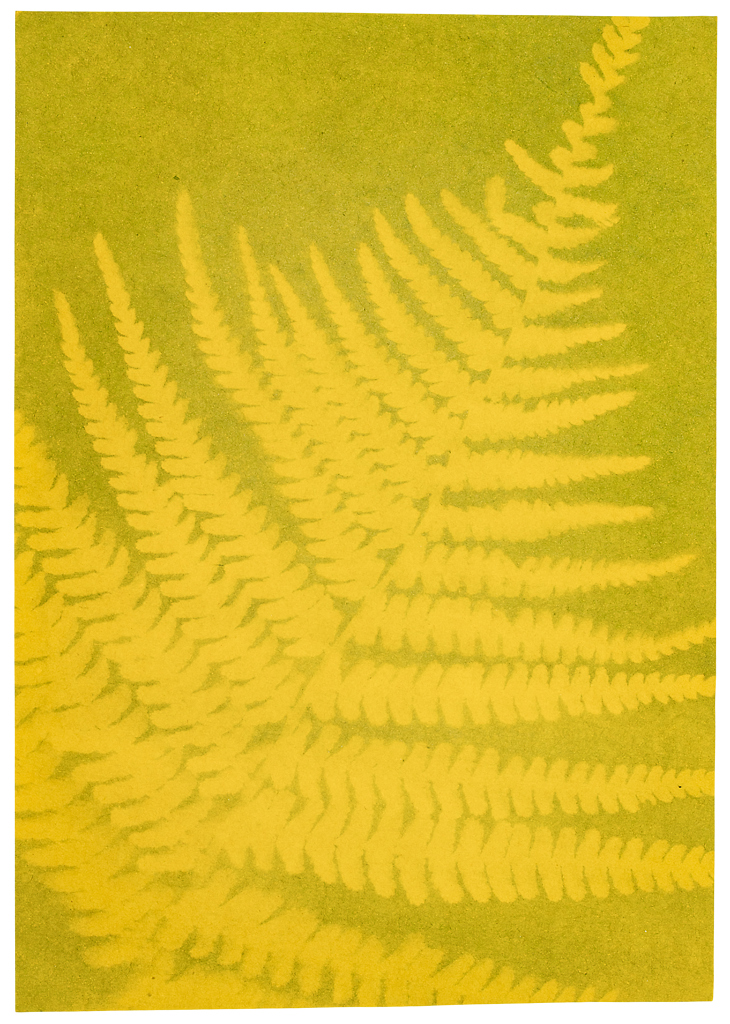 Moses - PhänoMINT Buntes Sonnendruckpapier Bild 4