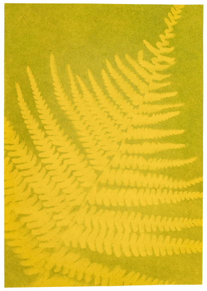 Moses - PhänoMINT Buntes Sonnendruckpapier Bild 4