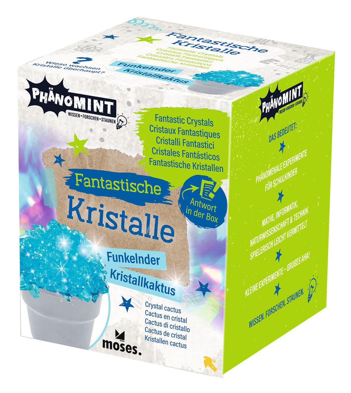 Verpackung Moses Fantastische Kristalle Funkelinder Kristallkaktus mit grünem Streifen
