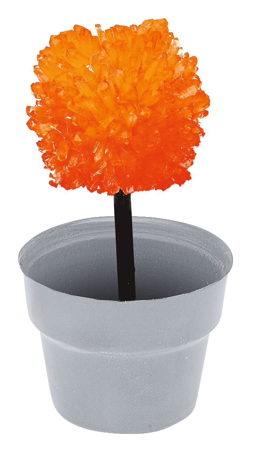Moses Fantastische Kristalle: gewachsene Kristallblume in Orange im grauen Blumentopf