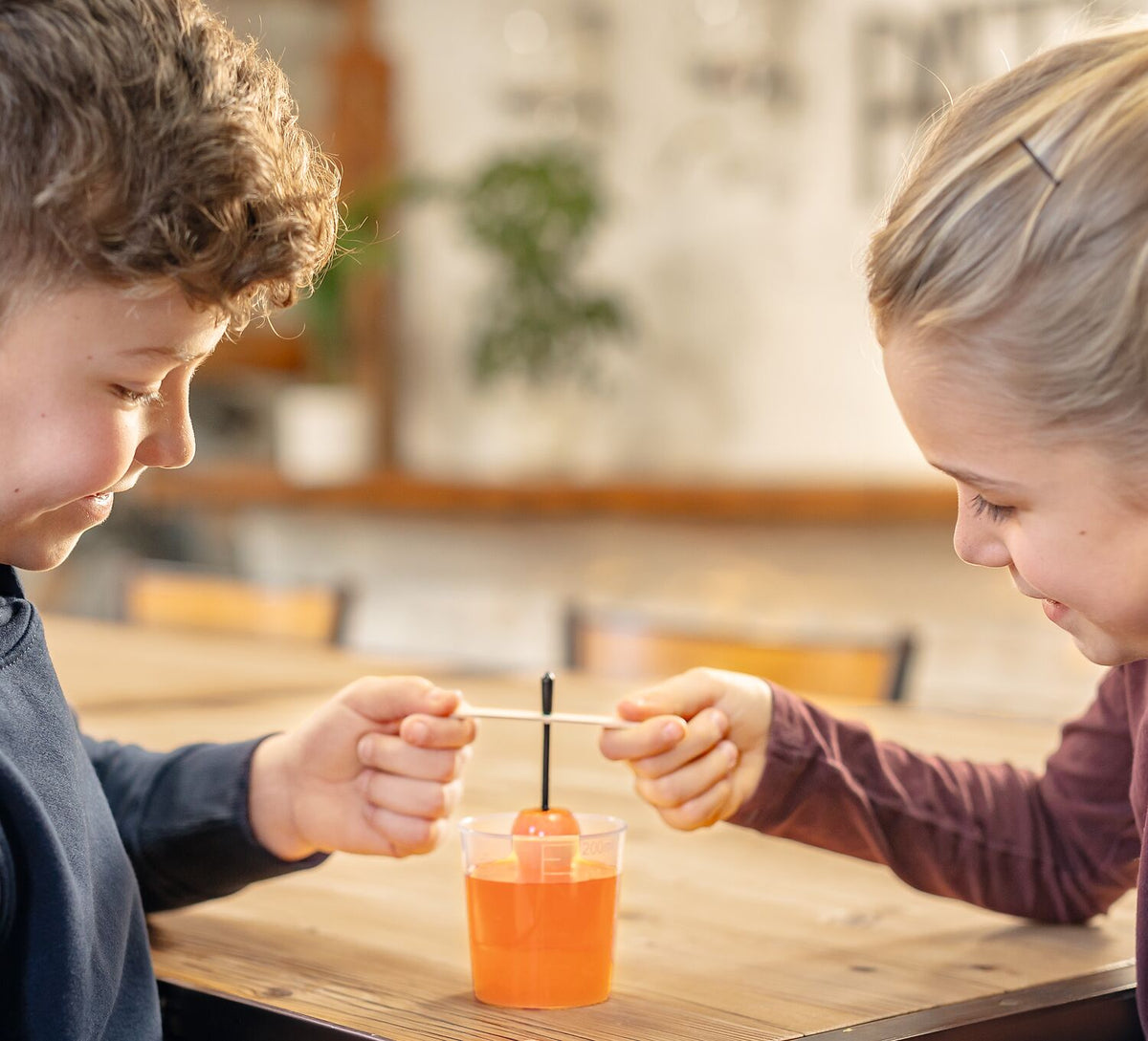 Zwei Kinder halten mit dem Moses Kristallset Stäbe in einen Becher mit oranger Lösung