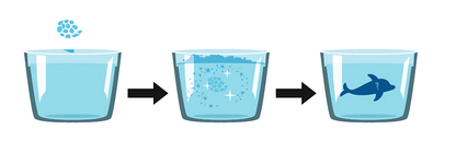 Moses - Sprudelnde Überraschung - Meerestiere Bild 2