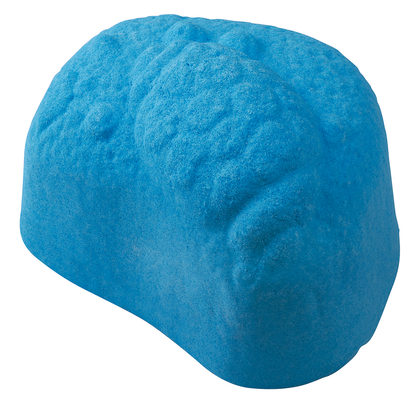 Moses - Sprudelnde Überraschung - Meerestiere Bild 4