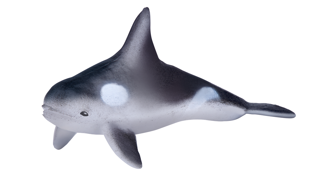 Moses - Sprudelnde Überraschung - Meerestiere Bild 6