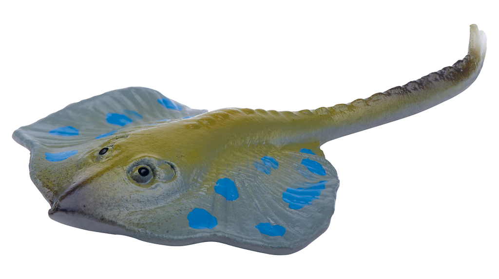 Moses - Sprudelnde Überraschung - Meerestiere Bild 7