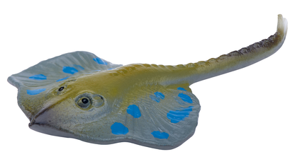 Moses - Sprudelnde Überraschung - Meerestiere Bild 7