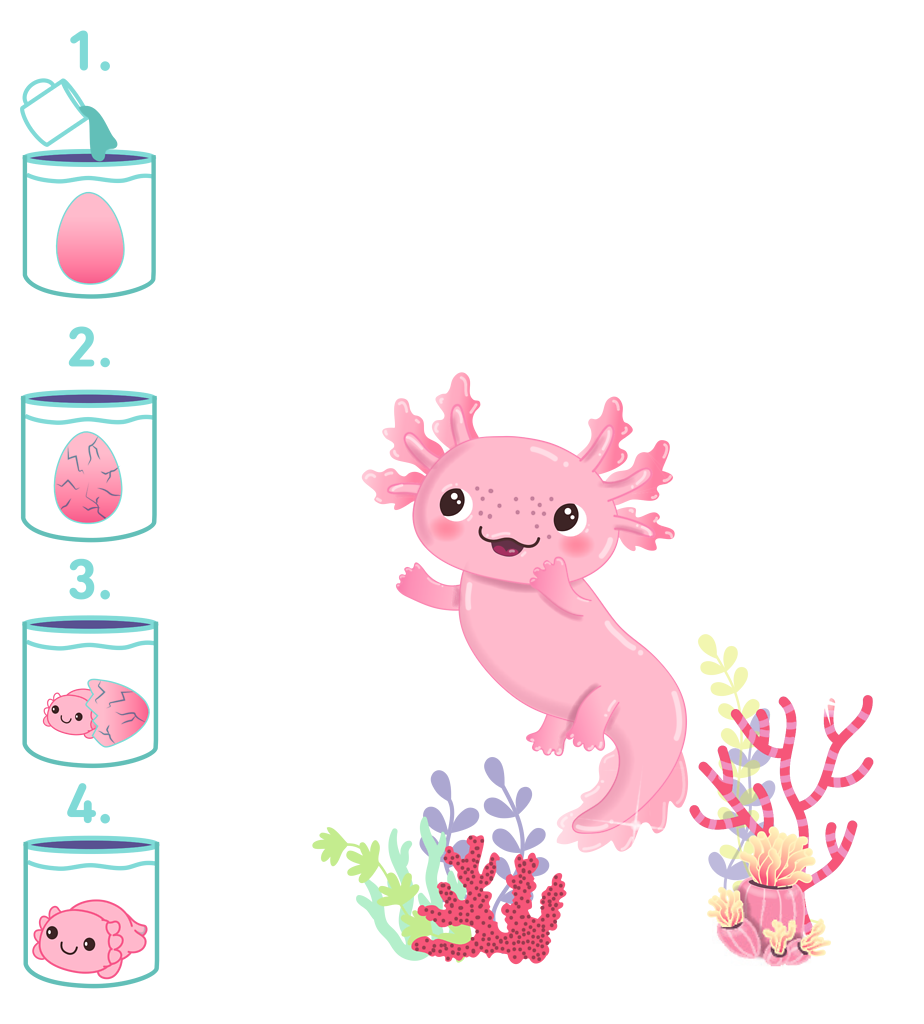 Moses - Schlüpfende Axolotl Bild 1