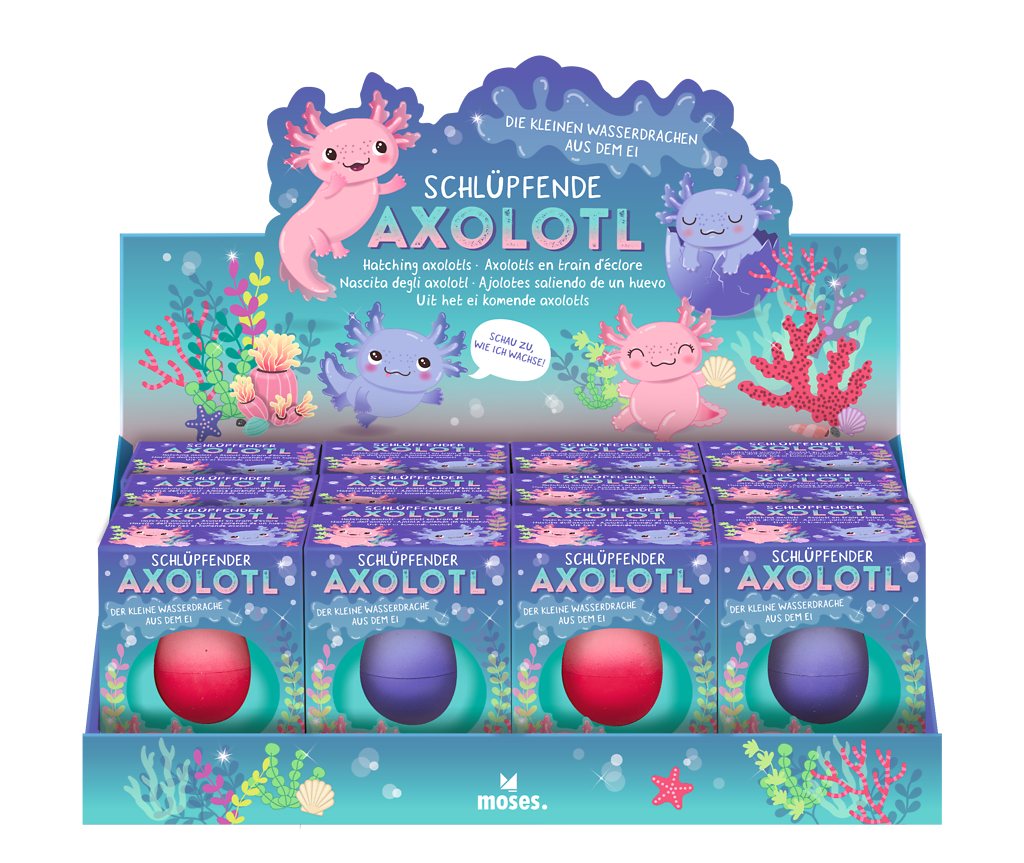 Moses - Schlüpfende Axolotl Bild 2