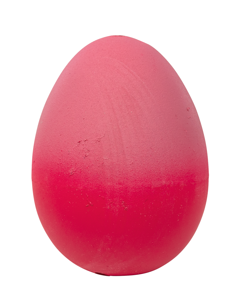 Moses - Schlüpfende Axolotl Bild 3