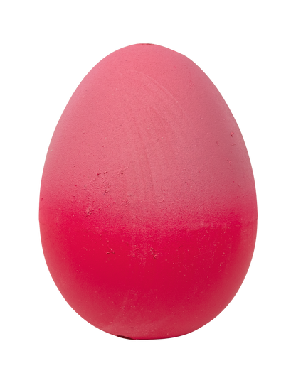 Moses - Schlüpfende Axolotl Bild 3