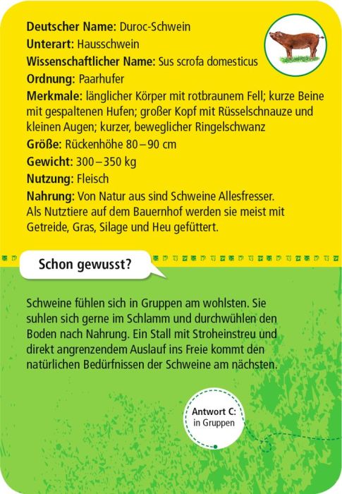 Moses - 50 Tiere auf dem Bauernhof