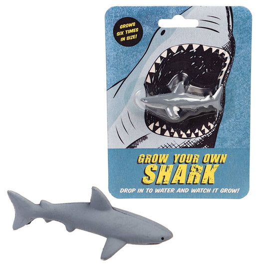 Rex London Wachsender Hai aus grauem Kunststoff mit weißem Bauch, daneben die Verpackung Grow your own Shark
