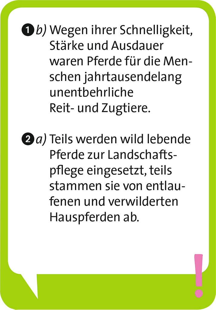 Moses - Pocket Quiz junior Pferde Bild 3