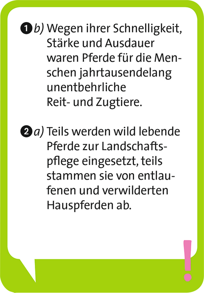 Moses - Pocket Quiz junior Pferde Bild 3