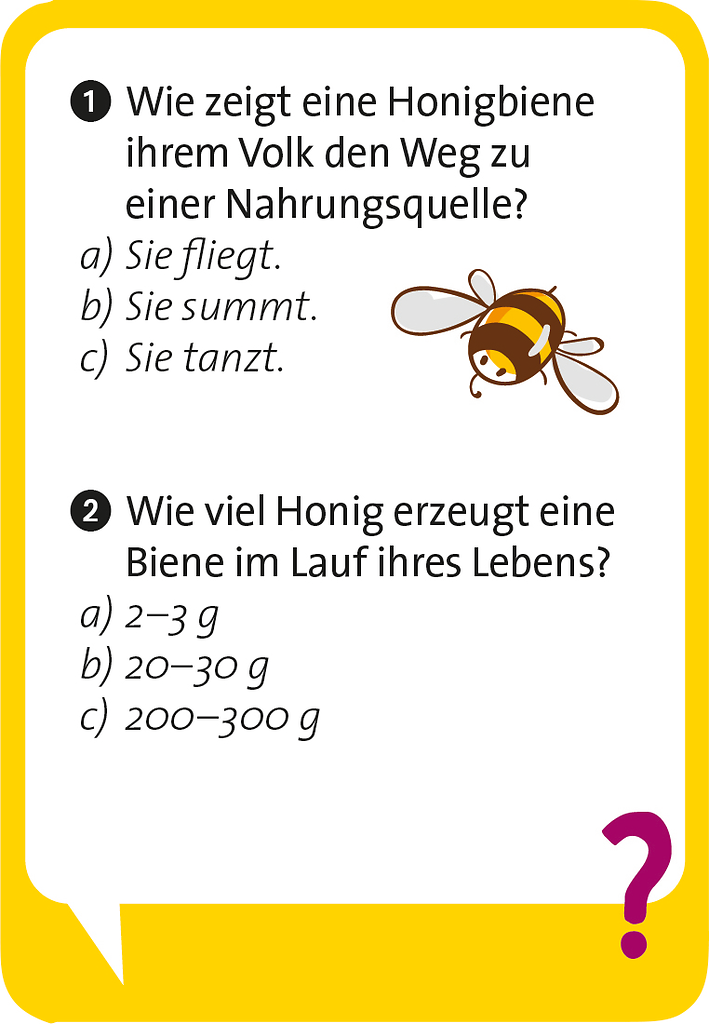 Moses - Pocket Quiz junior Unglaublich, aber wahr Bild 4