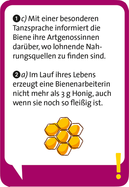 Moses - Pocket Quiz junior Unglaublich, aber wahr Bild 5