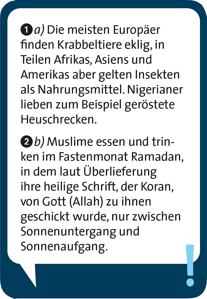 Moses - Pocket Quiz junior Erde Bild 5