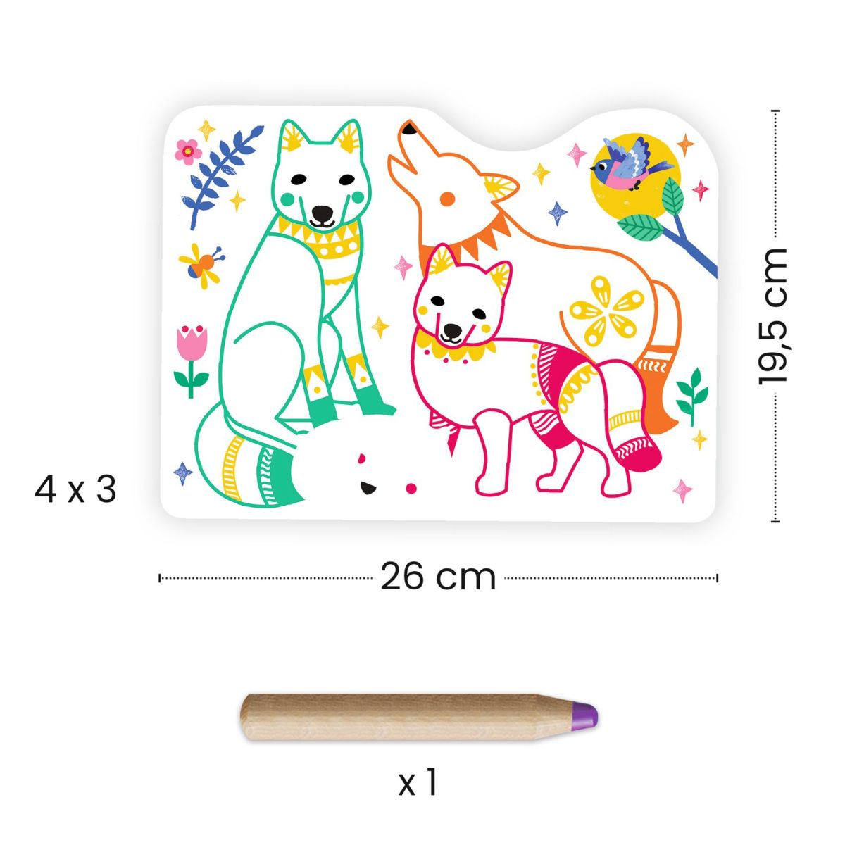 Djeco - Ausmalbilder 3-6: Waldfamilien Bild 5