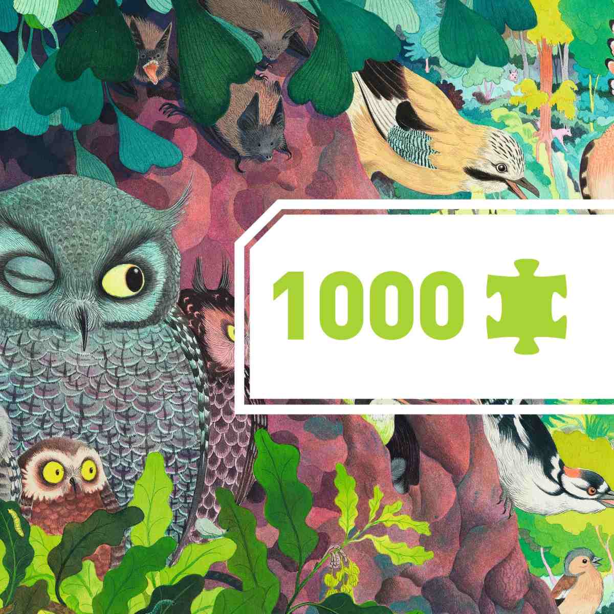 Djeco - Puzzle Gallery: Owls and birds - 1000 Teile - DJ07644-C1-RVB_1200