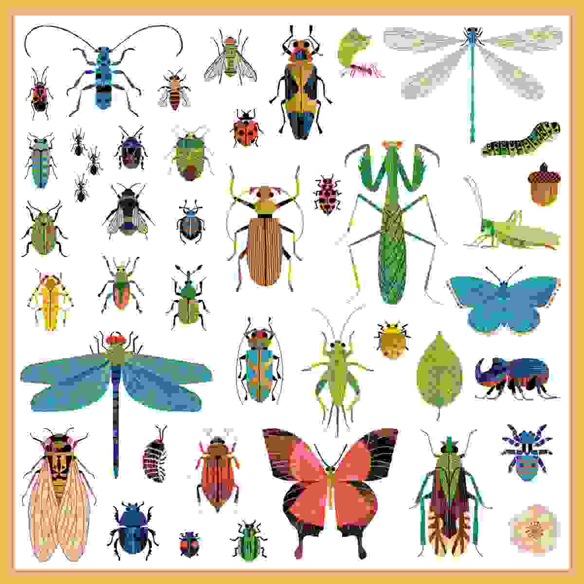 Djeco - Sticker: Mikrokosmos - DJ09282-C2-RVB_1200