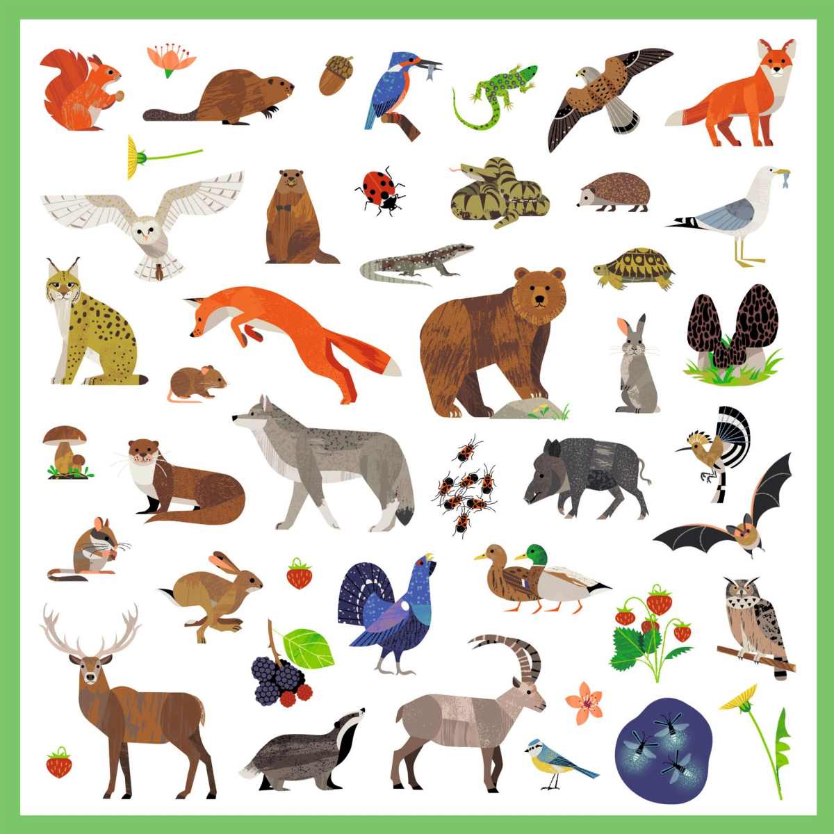 Djeco - Sticker: Tierwelt - DJ09285-C2-RVB_1200