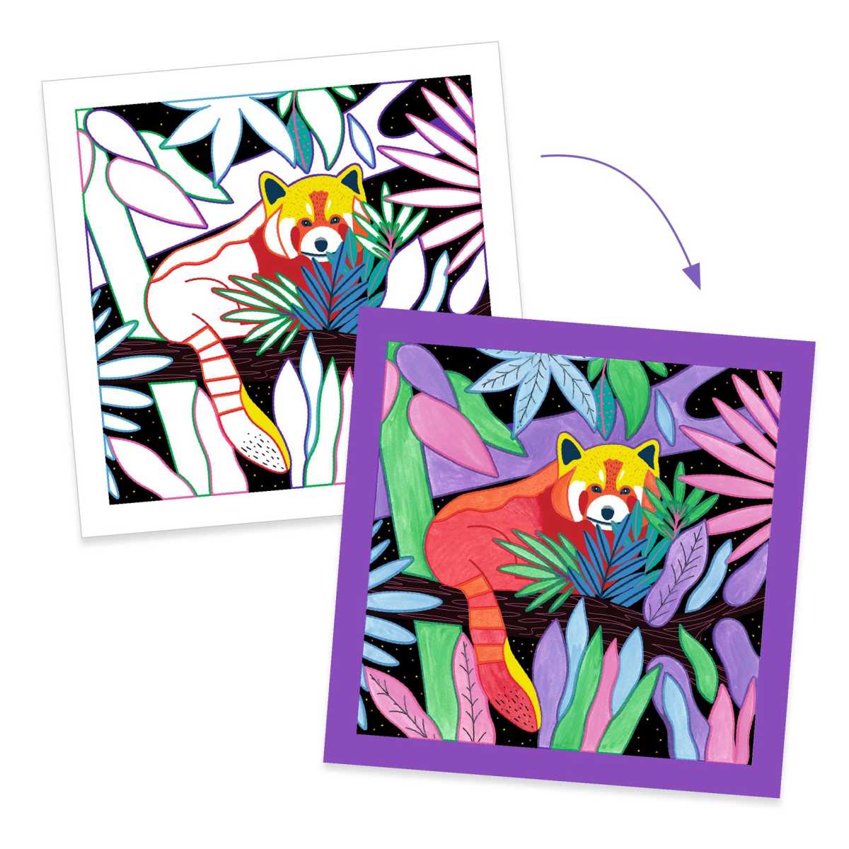 Djeco - Malen: Selva - DJ09995-C1-RVB_1200