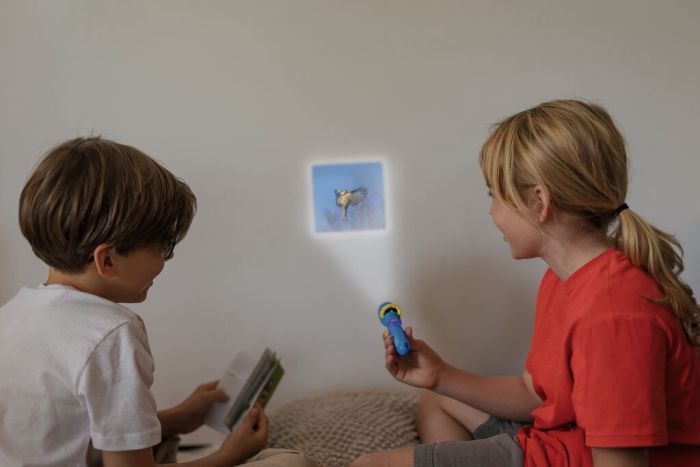 Moses - Expedition Natur Diashow EXTRA - Unsere Vögel