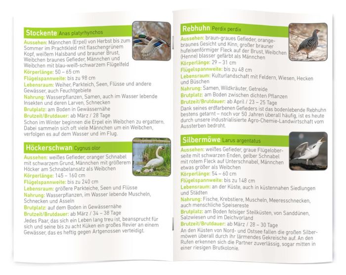 Moses - Expedition Natur Diashow EXTRA - Unsere Vögel